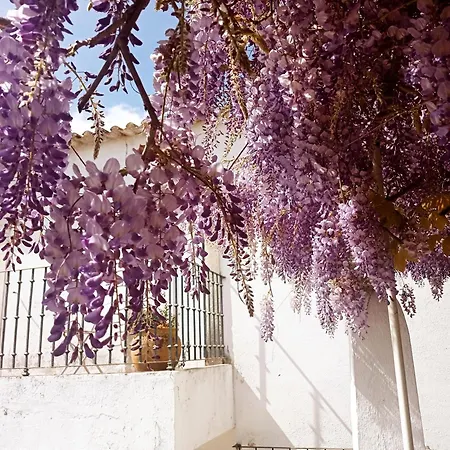 بيت للعطل Casa Glicinias *