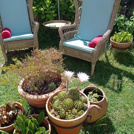 Casa Glicinias