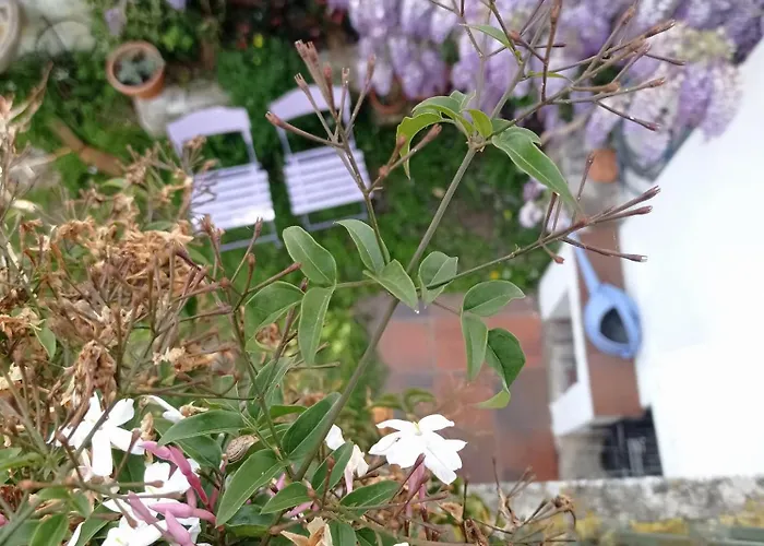 別荘 Casa Glicinias *