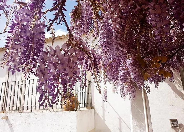 別荘 Casa Glicinias *