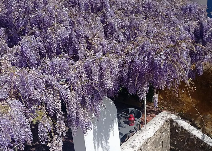 Casa Glicinias オビドス